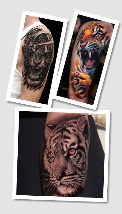 кому підійде тату тигр