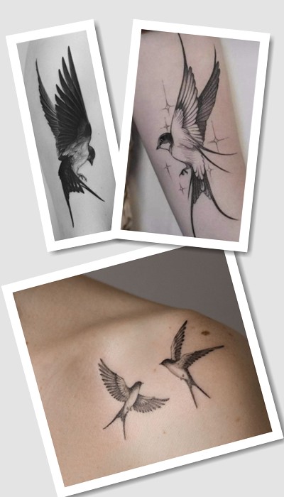 значення тату ластівка