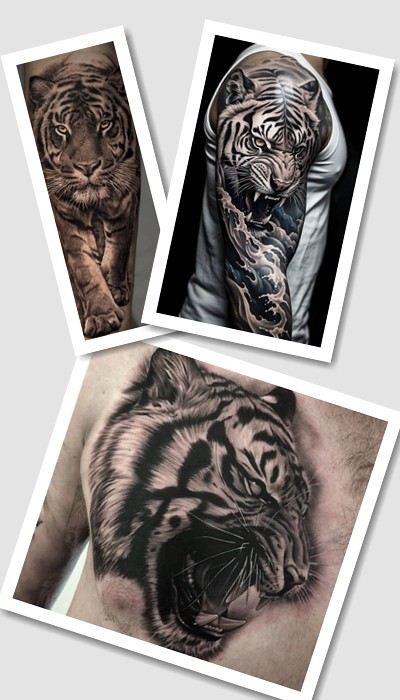 значення тату тигр