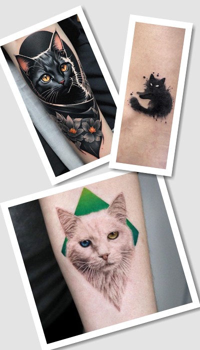 значення тату кішка